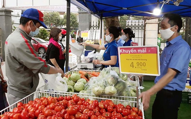 Thành lập tổ chỉ đạo sản xuất, cung ứng nông sản cho các tỉnh phía Nam - 1