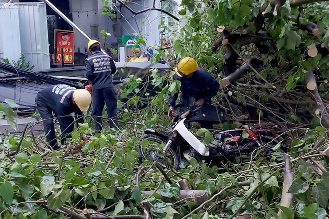 TPHCM: Cây xanh đổ đè người đi đường trong cơn mưa - 2 TPHCM: Cây xanh đổ đè người đi đường trong cơn mưa - 2