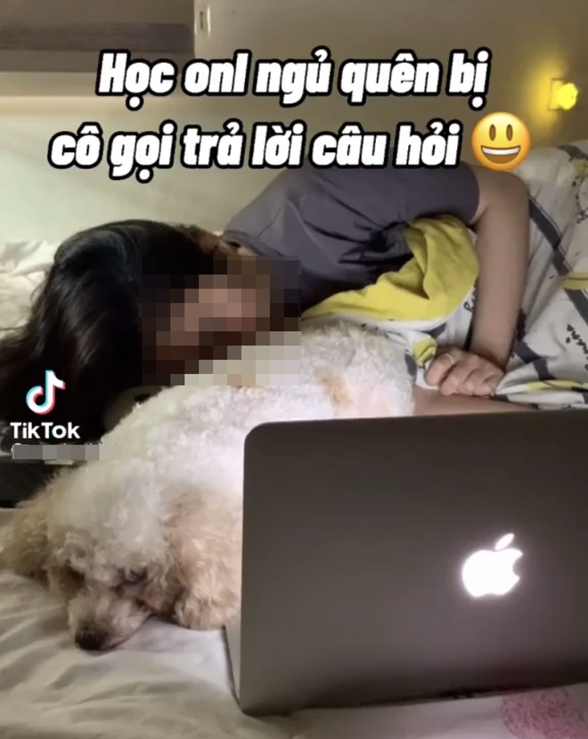 Cô gái gây tranh cãi dữ dội vì làm clip TikTok dạy học sinh gian lận - 4