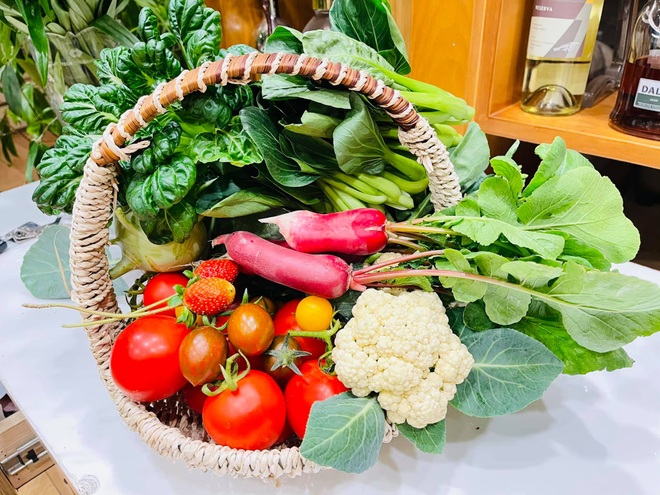 Mẹ đảm ở Hà Nội cặm cụi chở đất, đưa lên tầng 8 làm vườn 100m2 - 12 Mẹ đảm ở Hà Nội cặm cụi chở đất, đưa lên tầng 8 làm vườn 100m2 - 12