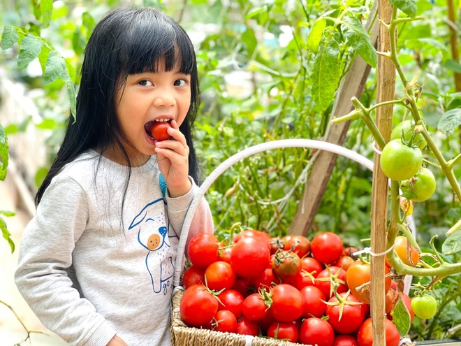 Mẹ đảm ở Hà Nội cặm cụi chở đất, đưa lên tầng 8 làm vườn 100m2 - 9 Mẹ đảm ở Hà Nội cặm cụi chở đất, đưa lên tầng 8 làm vườn 100m2 - 9