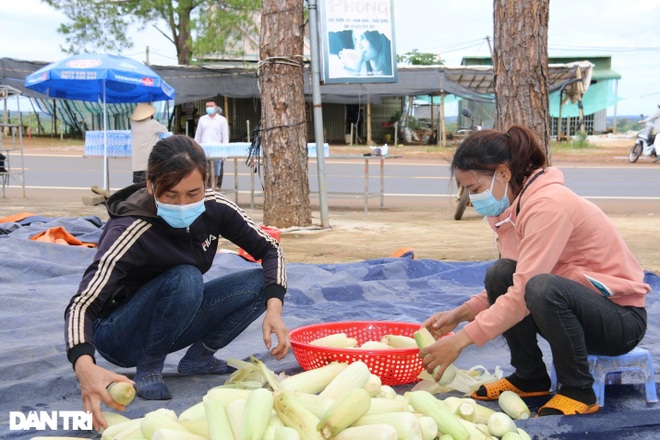 Người dân Đắk Nông nấu nồi bắp 0 đồng phục vụ bà con đi đường về quê - 5