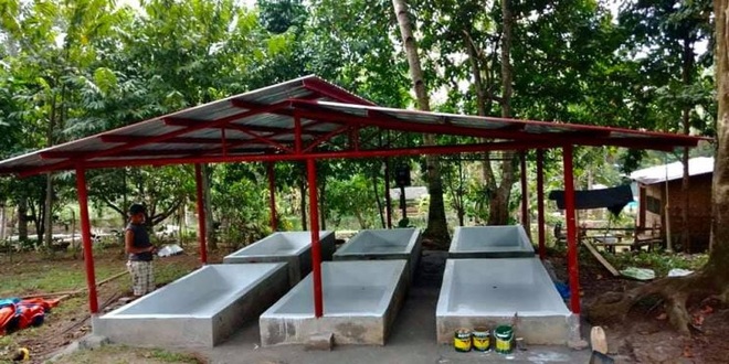 Điều hành trang trại từ nơi xa hàng ngàn cây số, người đàn ông thu 5 tấn cá - 1 Điều hành trang trại từ nơi xa hàng ngàn cây số, người đàn ông thu 5 tấn cá - 1
