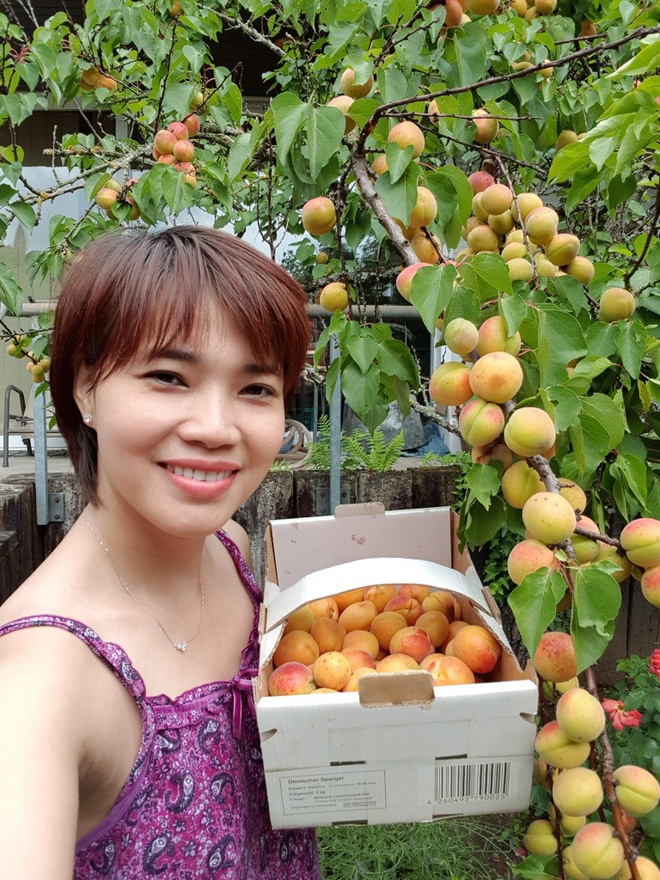 Rau siêu thị đắt đỏ, người phụ nữ gốc Việt biến ban công thành vườn ở Đức - 9 Rau siêu thị đắt đỏ, người phụ nữ gốc Việt biến ban công thành vườn ở Đức - 9