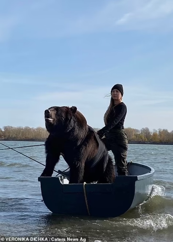 Chưa có bạn trai, nhưng có... gấu: Cô gái Nga gây sốt với thú cưng - 6