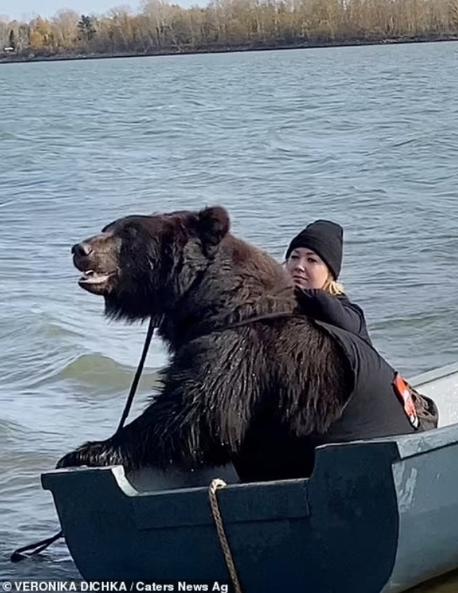 Chưa có bạn trai, nhưng có... gấu: Cô gái Nga gây sốt với thú cưng - 9