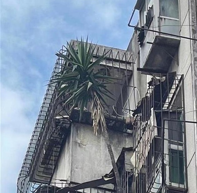 Cư dân hốt hoảng với mối nguy treo trên đầu từ căn hộ bỏ hoang 6 năm - 1 Cư dân hốt hoảng với mối nguy treo trên đầu từ căn hộ bỏ hoang 6 năm - 1