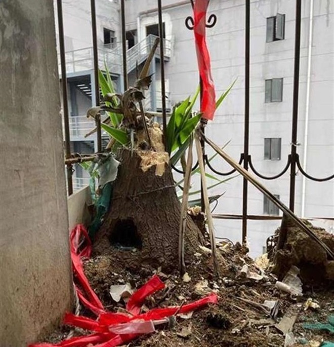 Cư dân hốt hoảng với mối nguy treo trên đầu từ căn hộ bỏ hoang 6 năm - 2 Cư dân hốt hoảng với mối nguy treo trên đầu từ căn hộ bỏ hoang 6 năm - 2