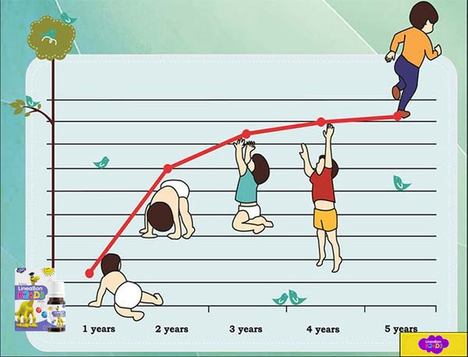 Lý do mẹ nên chọn LineaBon hỗ trợ tăng chiều cao cho trẻ - 1 Lý do mẹ nên chọn LineaBon hỗ trợ tăng chiều cao cho trẻ - 1