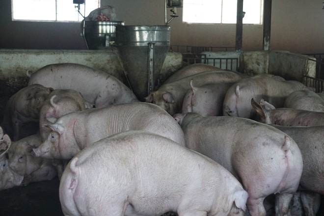 Ngã rẽ nghề nghiệp thú vị sau chuyến thăm quê của chàng kỹ sư cơ khí - 1 Ngã rẽ nghề nghiệp thú vị sau chuyến thăm quê của chàng kỹ sư cơ khí - 1
