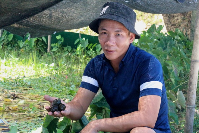 Trở thành tỷ phú nhờ nuôi loài... chậm hơn rùa - 10 Trở thành tỷ phú nhờ nuôi loài... chậm hơn rùa - 10