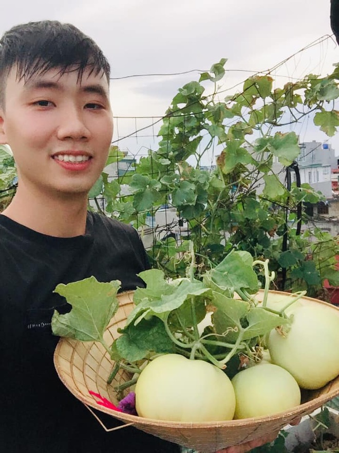 Chàng trai 9X nuôi cả tạ cá, làm vườn trĩu cành giữa trung tâm Hà Nội - 2 Chàng trai 9X nuôi cả tạ cá, làm vườn trĩu cành giữa trung tâm Hà Nội - 2