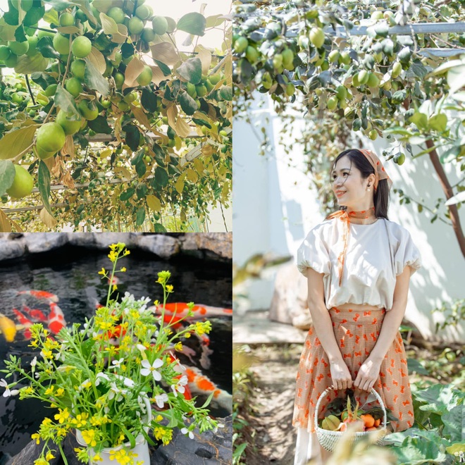 Mảnh vườn 300 m2 sum suê rau trái, thu hoạch mỏi tay của mẹ đảm Quảng Ninh - 2
