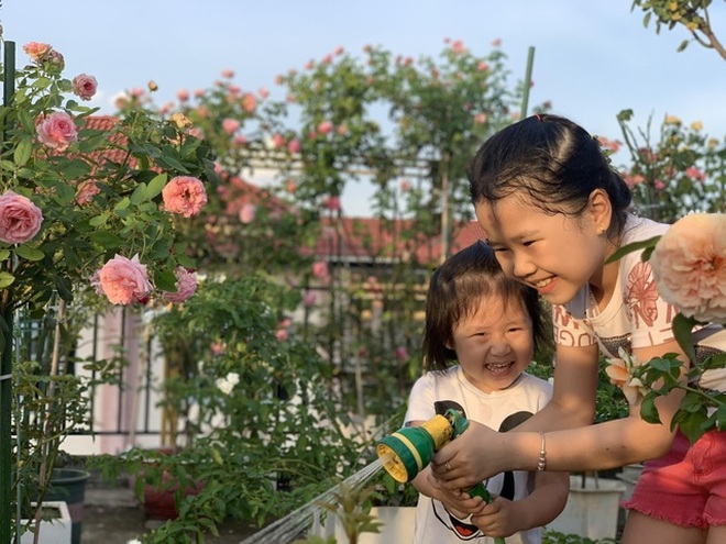 Ngắm mãi không chán loạt vườn hồng lung linh của các mẹ đảm ở Việt Nam - 3