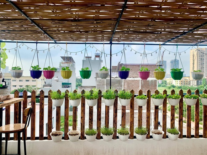 Mẹ đảm biến sân thượng thành vườn rau, quầy bar, bể bơi cho cả nhà thư giãn - 3 Mẹ đảm biến sân thượng thành vườn rau, quầy bar, bể bơi cho cả nhà thư giãn - 3