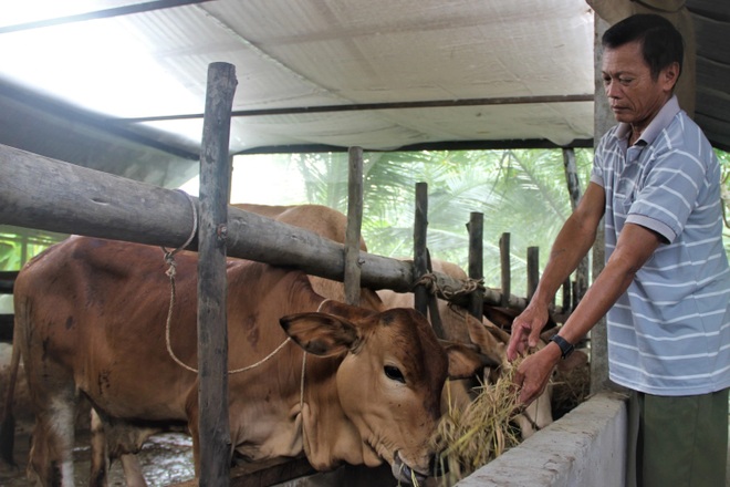Sóc Trăng: Thương binh làm kinh tế giỏi, chủ động đăng ký thoát nghèo - 1 Sóc Trăng: Thương binh làm kinh tế giỏi, chủ động đăng ký thoát nghèo - 1