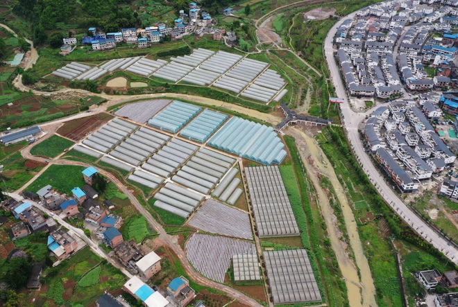 Nông dân làm đường ray lạ mắt, chuyển cả tạ cam bằng tàu lượn - 2 Nông dân làm đường ray lạ mắt, chuyển cả tạ cam bằng tàu lượn - 2