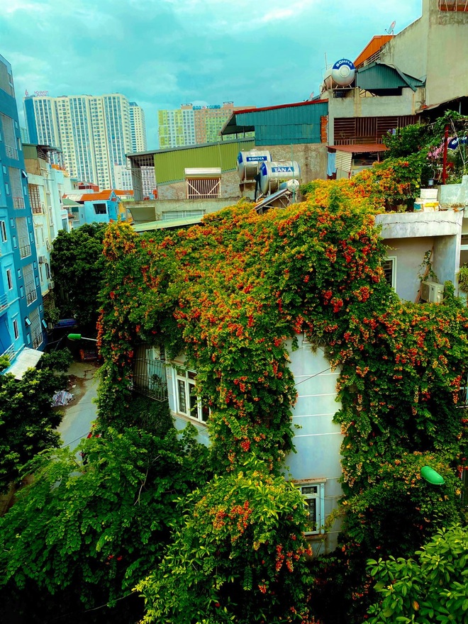 Ngôi nhà 3 mặt tiền phủ kín hoa sử quân tử của nữ thiết kế thời trang - 3 Ngôi nhà 3 mặt tiền phủ kín hoa sử quân tử của nữ thiết kế thời trang - 3