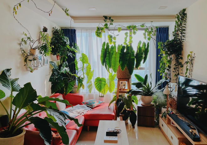 Rừng cây thu nhỏ trong ngôi nhà ngập tràn sắc xanh của chàng trai Sài Gòn - 6