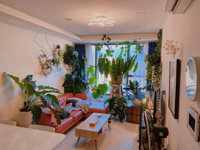 Rừng cây thu nhỏ trong ngôi nhà ngập tràn sắc xanh của chàng trai Sài Gòn - 5