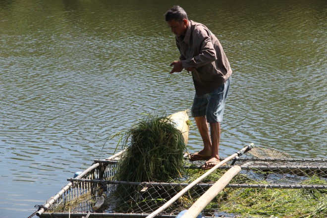 Nghề tay trái giúp nông dân thu về thêm gần 50 triệu đồng/năm - 3