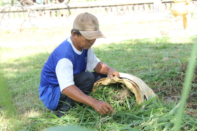 Nghề tay trái giúp nông dân thu về thêm gần 50 triệu đồng/năm - 6