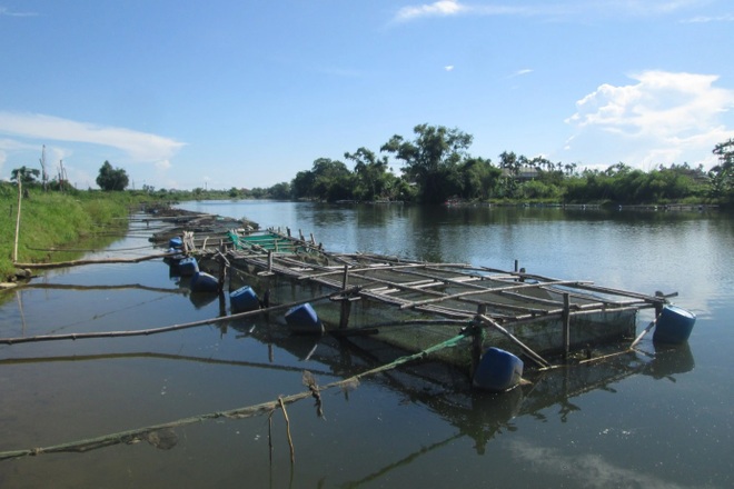 Nghề tay trái giúp nông dân thu về thêm gần 50 triệu đồng/năm - 4