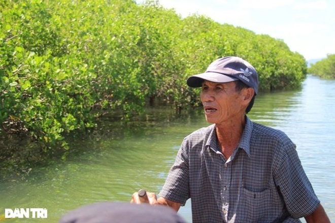 There is an area of ​​western rivers in the heart of Thi Nai lagoon - 3