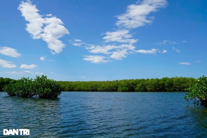 There is an area of ​​western rivers in the heart of Thi Nai lagoon - 8