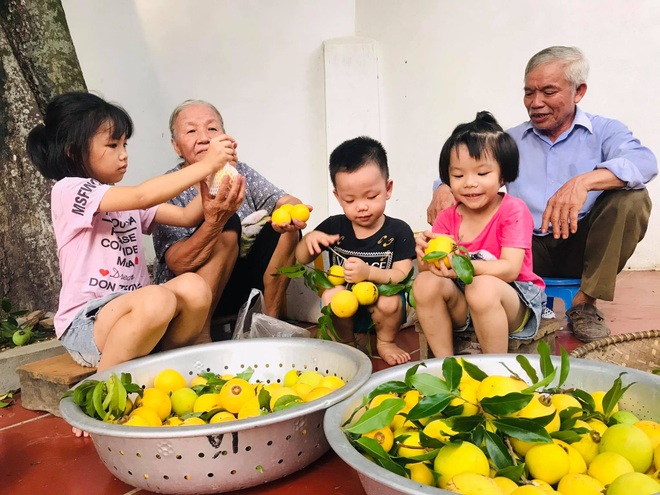 Gốc thị 80 tuổi - nhân chứng cho cuộc hôn nhân hạnh phúc nửa thế kỷ - 6 Gốc thị 80 tuổi - nhân chứng cho cuộc hôn nhân hạnh phúc nửa thế kỷ - 6
