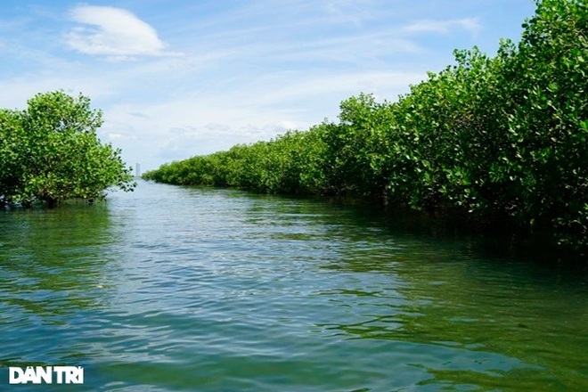 There is a western river in the heart of Thi Nai lagoon - 1