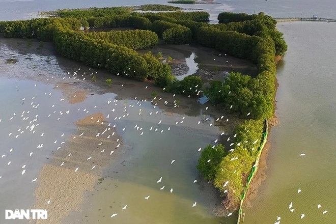 There is an area of ​​western rivers in the heart of Thi Nai lagoon - 6