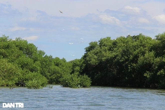 There is an area of ​​western rivers in the heart of Thi Nai lagoon - 5