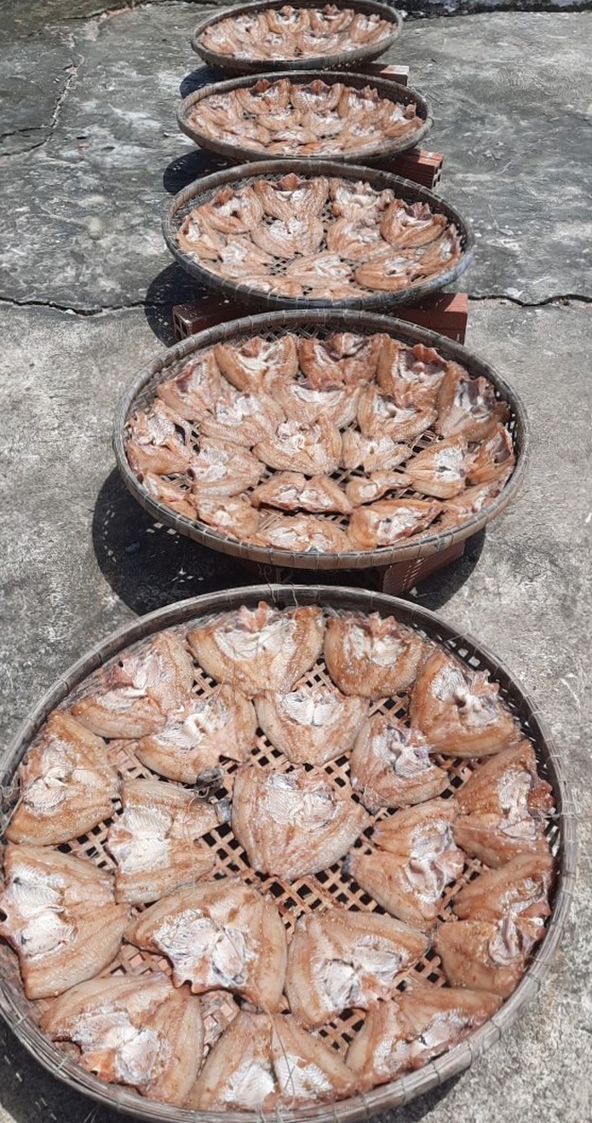 Bơi xuồng giăng lưới cá, xẻ từng con phơi khô gửi đồng hương ở vùng dịch - 7 Bơi xuồng giăng lưới cá, xẻ từng con phơi khô gửi đồng hương ở vùng dịch - 7