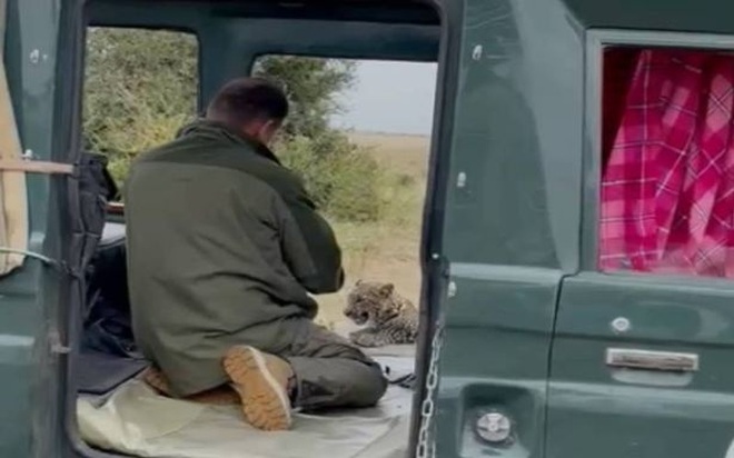 Video: Rùng mình cảnh báo hoang... khều chân du khách - 2 Video: Rùng mình cảnh báo hoang... khều chân du khách - 2