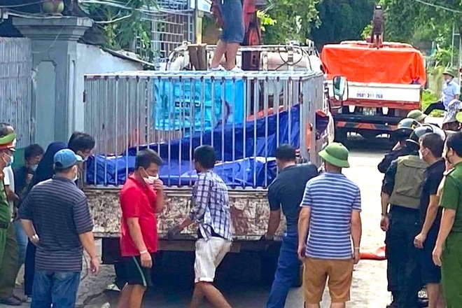 Cận cảnh những cá thể hổ đang nuôi nhốt tại nhà dân ở Nghệ An - 1 Cận cảnh những cá thể hổ đang nuôi nhốt tại nhà dân ở Nghệ An - 1
