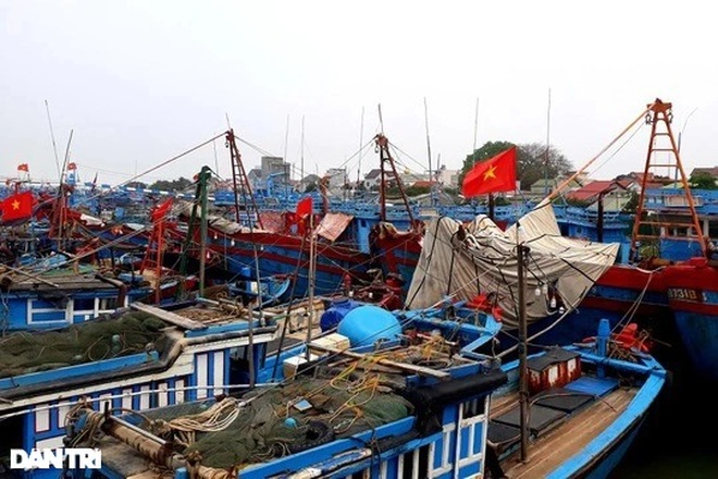 Ba ngư dân tử vong trên biển chưa rõ nguyên nhân - 1 Ba ngư dân tử vong trên biển chưa rõ nguyên nhân - 1