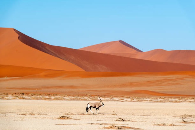 Những bí mật về sa mạc cổ xưa nhất hành tinh - 2