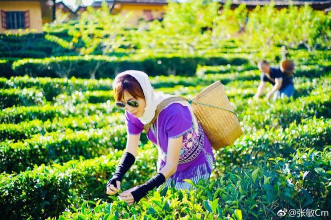 Kinh ngạc trước nhan sắc không đổi sau 30 năm của minh tinh Trương Mẫn - 10 Kinh ngạc trước nhan sắc không đổi sau 30 năm của minh tinh Trương Mẫn - 10