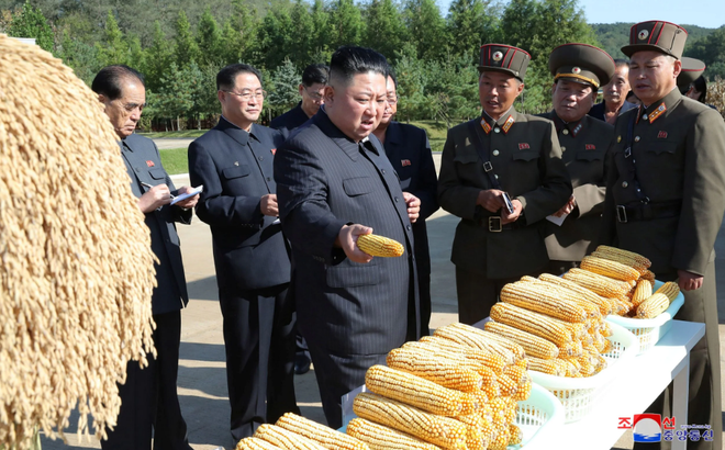 Trung Quốc hé lộ khủng hoảng lương thực tại Triều Tiên - 1