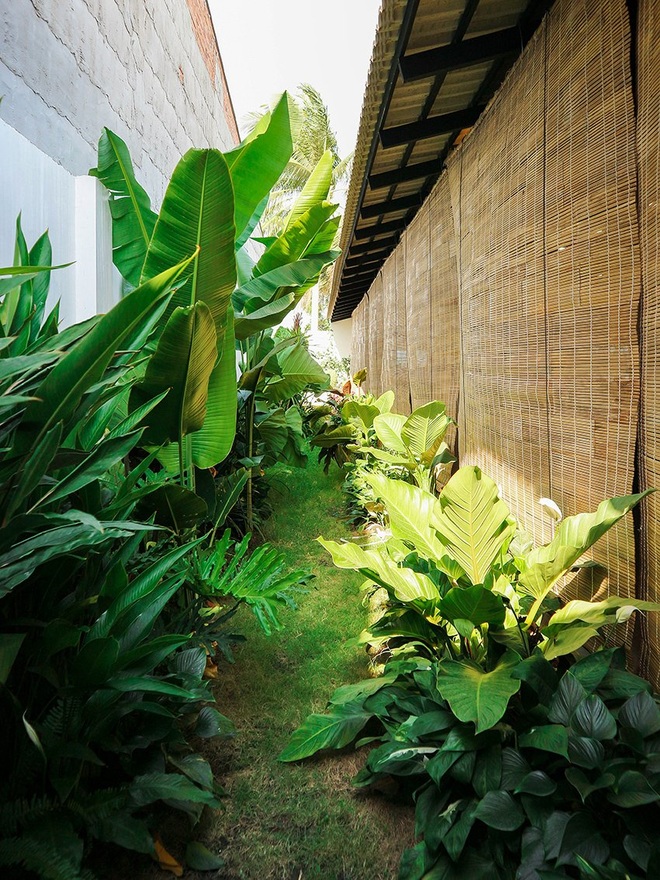 Ngôi nhà Tây Ninh thiết kế mở với vườn cây xanh của gia đình 3 thế hệ - 6 Ngôi nhà Tây Ninh thiết kế mở với vườn cây xanh của gia đình 3 thế hệ - 6