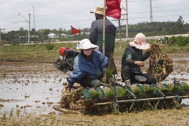 Khó khăn bủa vây Triều Tiên  - 1