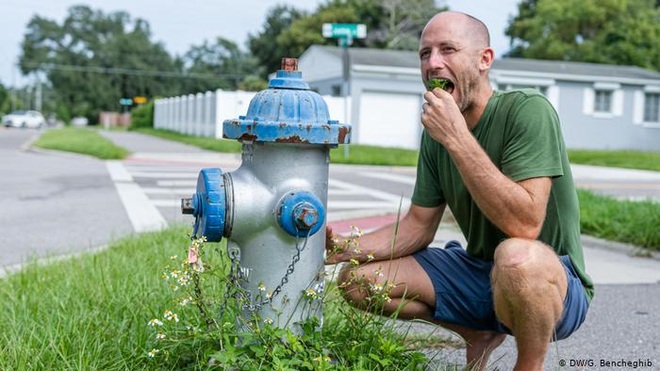 Người đàn ông làm nhà tái chế, đi xe đạp, tự trồng rau sạch vì môi trường - 9