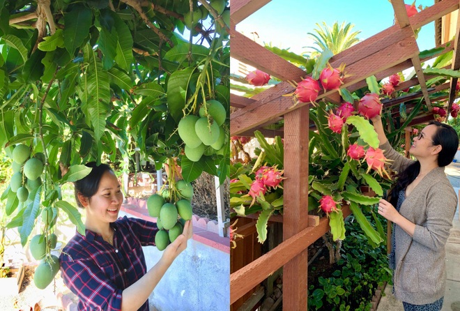 Mẹ Việt mát tay làm khu vườn trồng hàng chục loại cây ăn trái tại Mỹ - 15