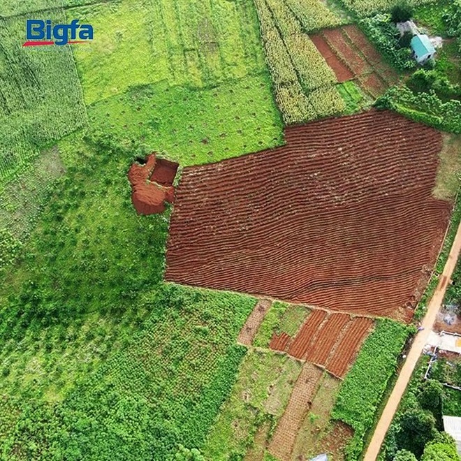 Bí quyết tạo ra các sản phẩm thực phẩm bảo vệ sức khỏe và mỹ phẩm an toàn tại BIGFA - 4
