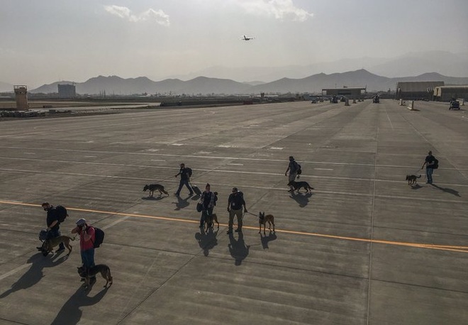 Tranh cãi việc binh sĩ Mỹ sơ tán chó nghiệp vụ khỏi Afghanistan - 2 Tranh cãi việc binh sĩ Mỹ sơ tán chó nghiệp vụ khỏi Afghanistan - 2