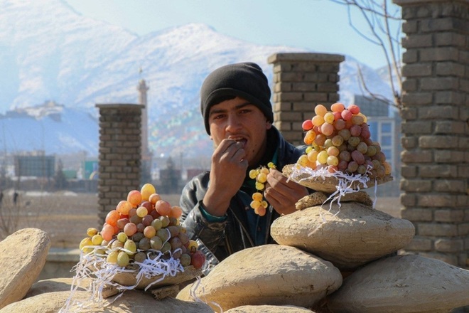 Bí quyết bảo quản nho nửa năm vẫn tươi như mới hái ở Afghanistan - 1