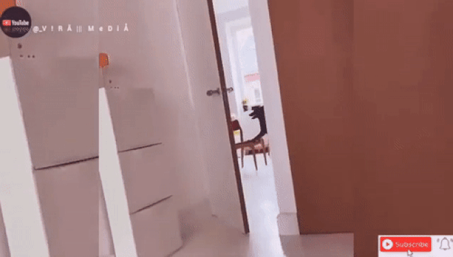 Clip chó siêu khôn kê ghế để ăn vụng thu hút hơn 3,3 triệu lượt xem - 1 Clip chó siêu khôn kê ghế để ăn vụng thu hút hơn 3,3 triệu lượt xem - 1