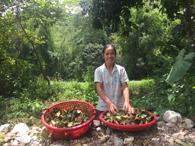 Bí mật ý nghĩa ngày rằm tháng 7 của đồng bào dân tộc Tày, Nùng ở Cao Bằng - 4