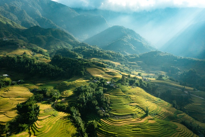 Sa Pa charms the changing color of the rice season!  - first